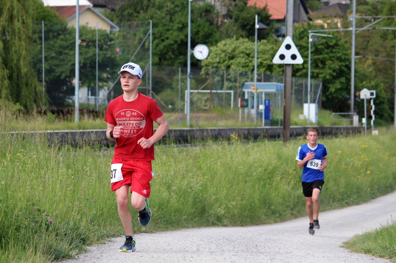 15km- Lauf 2017
