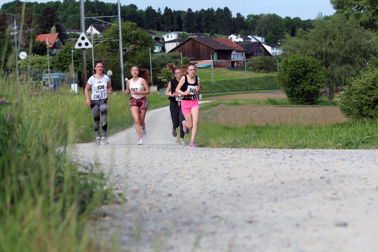 15km- Lauf 2017