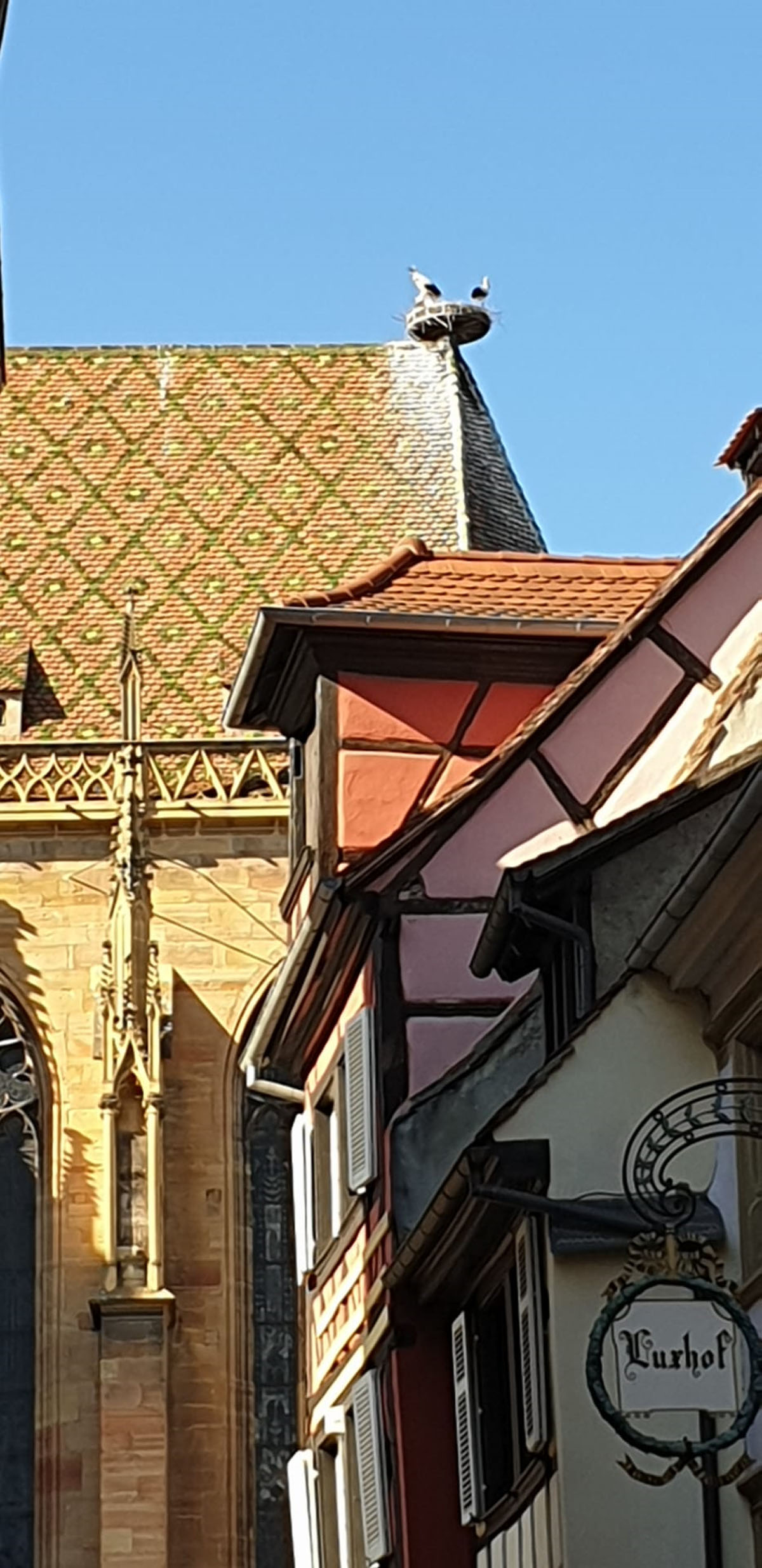 190630_Colmar198