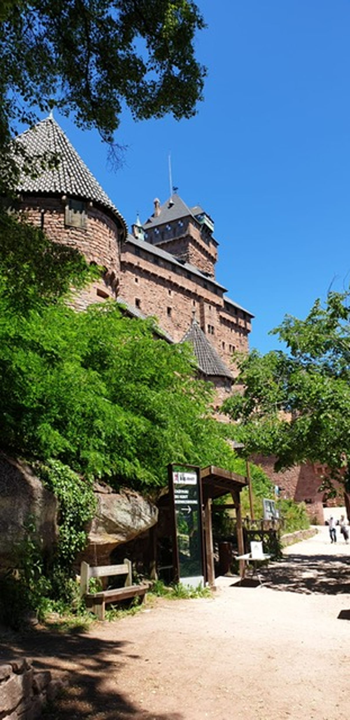 190630_Colmar198