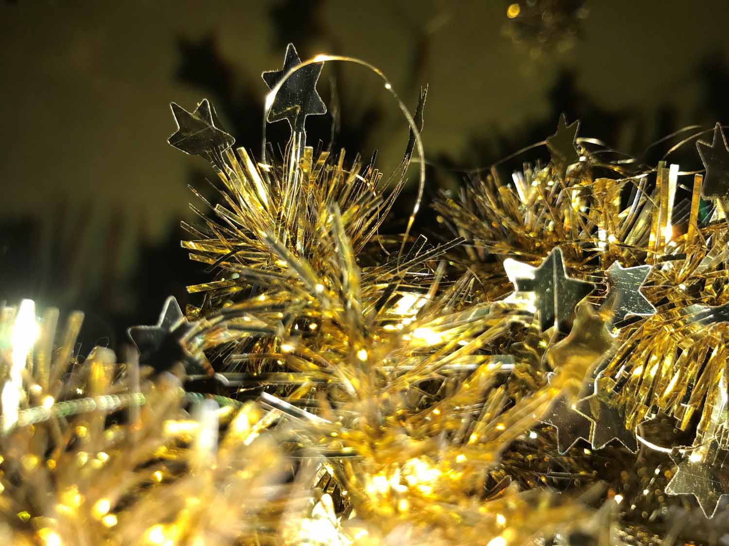 191206_XMASSing